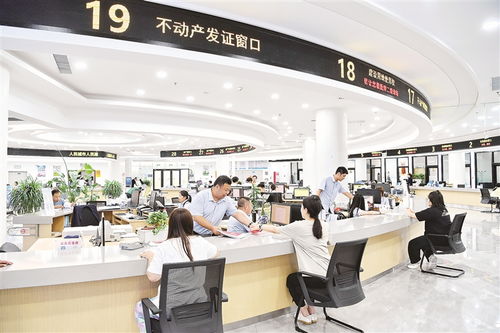 對(duì)話(huà)丨形成狠抓落實(shí)的好局面——聚焦物業(yè)管理（不含保安服務(wù)）